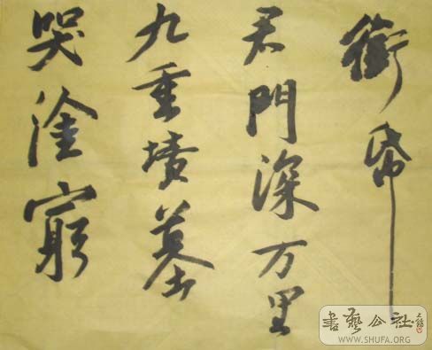 DSC02898.JPG