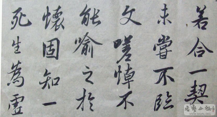 S7301819.JPG
