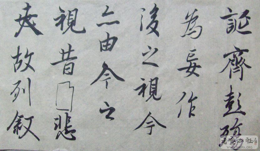S7301816.JPG