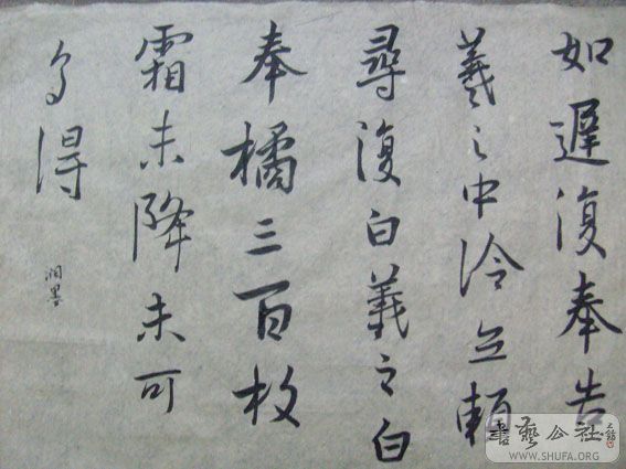 S7301795.JPG