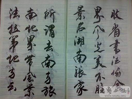 20080426.jpg