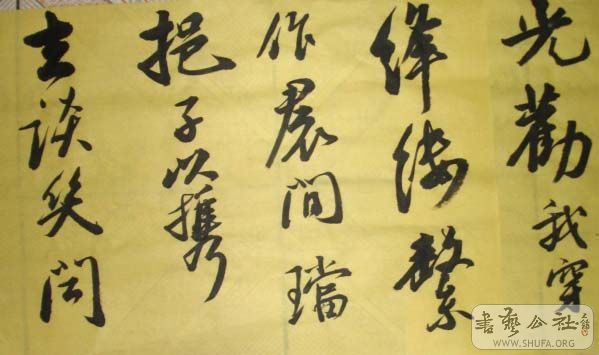 DSC02905.JPG
