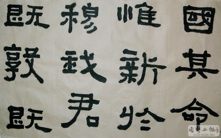SNV12102.JPG
