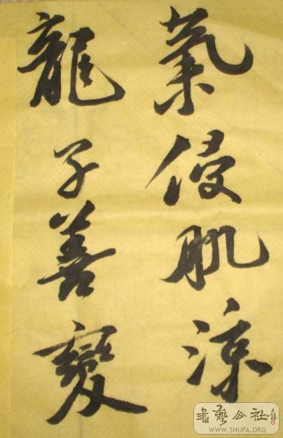 DSC02907.JPG