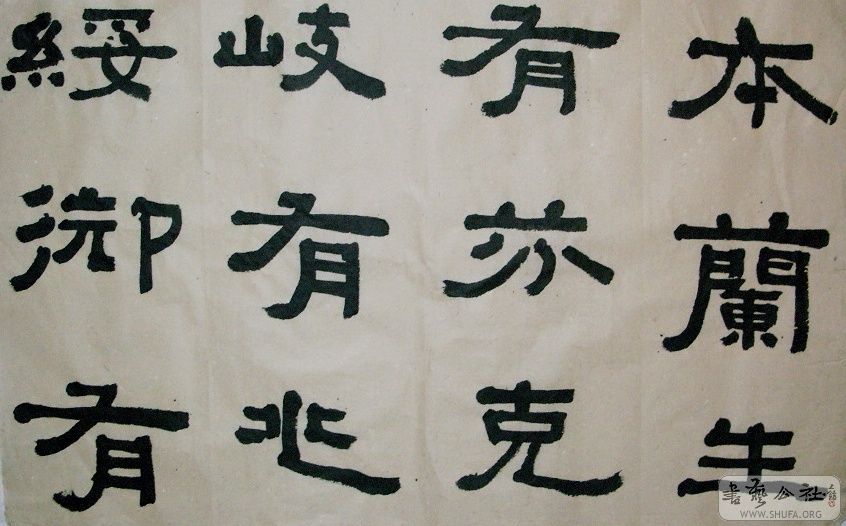 SNV12104.JPG