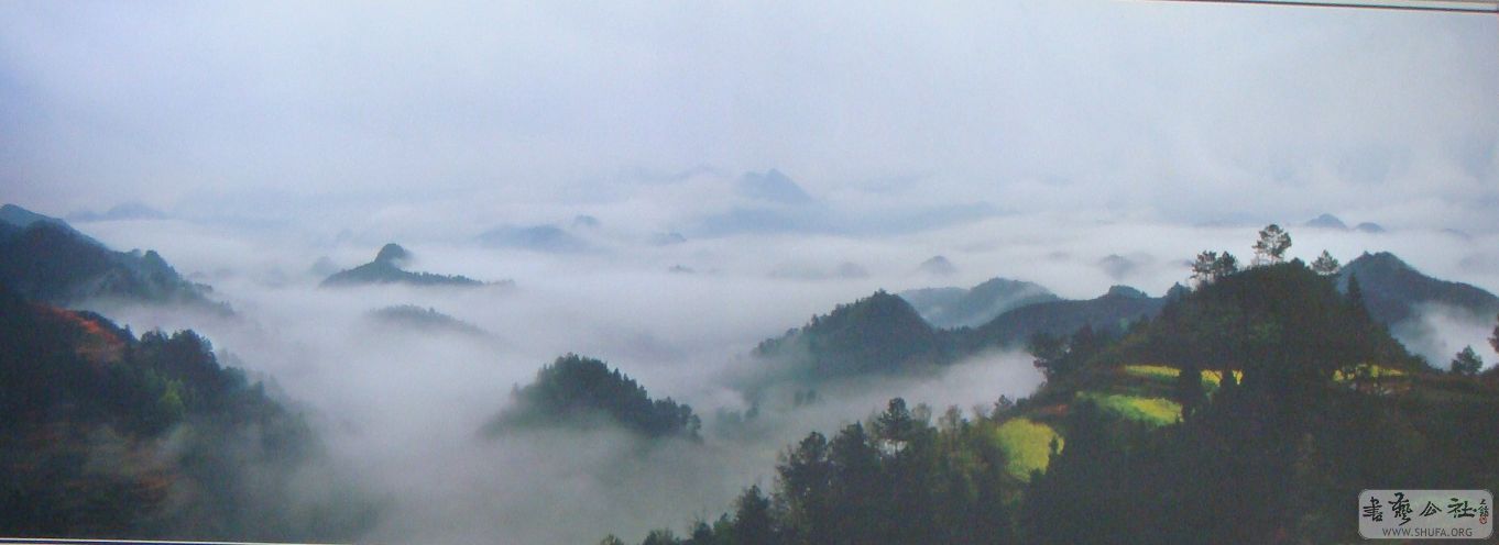 DSC03432(001).jpg