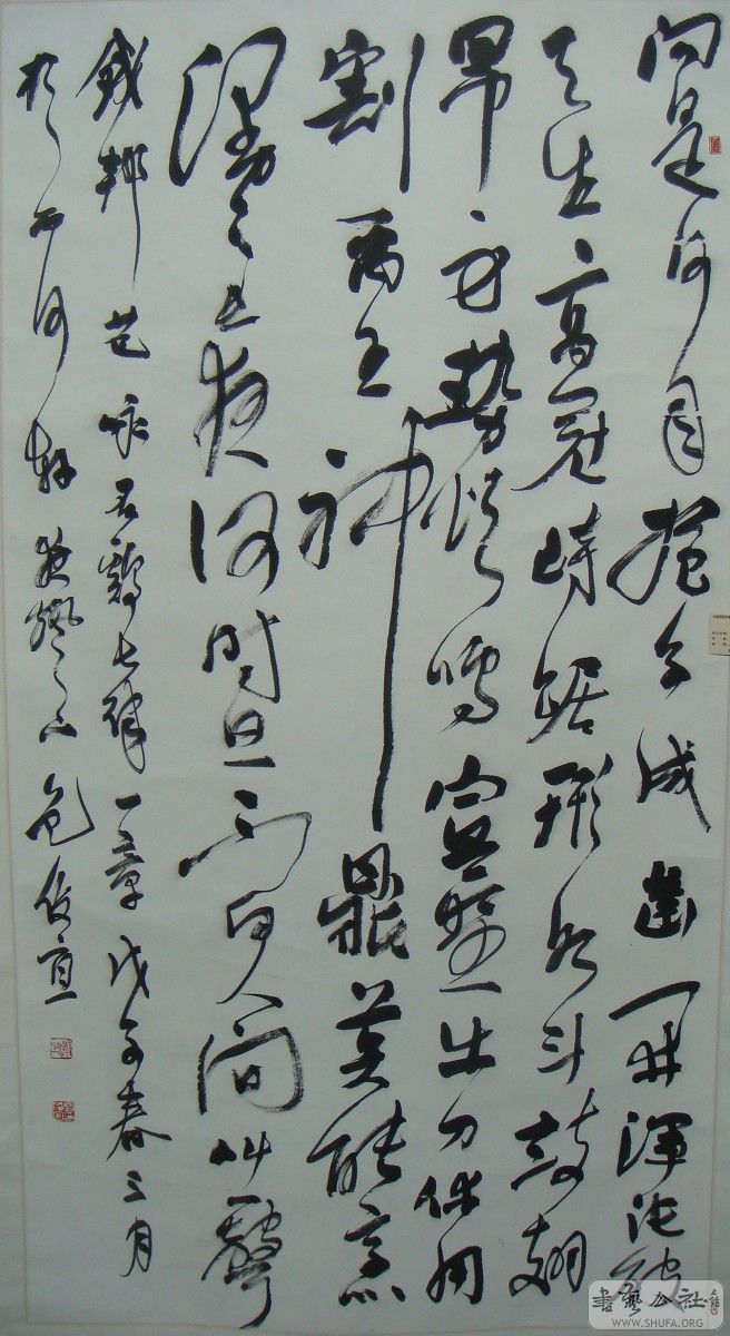 DSC03374.jpg