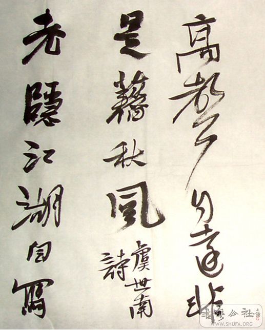 20051229195740352.jpg