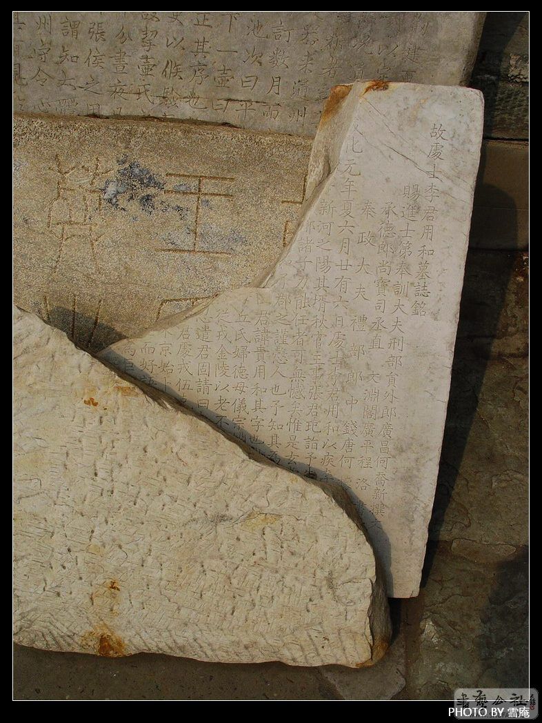 tzz61.JPG