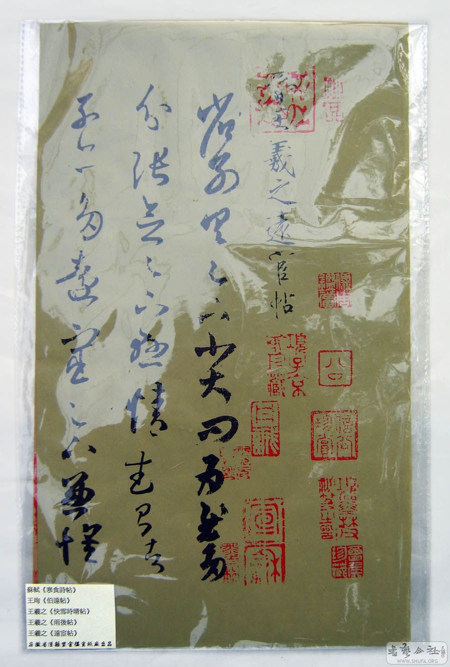 08.Ʒ02-1.jpg