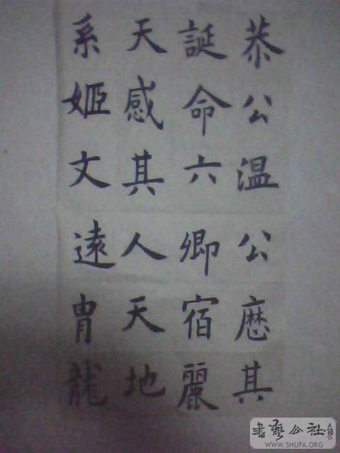 IMG0103A.jpg