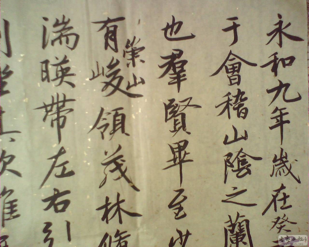 M20080503016.jpg