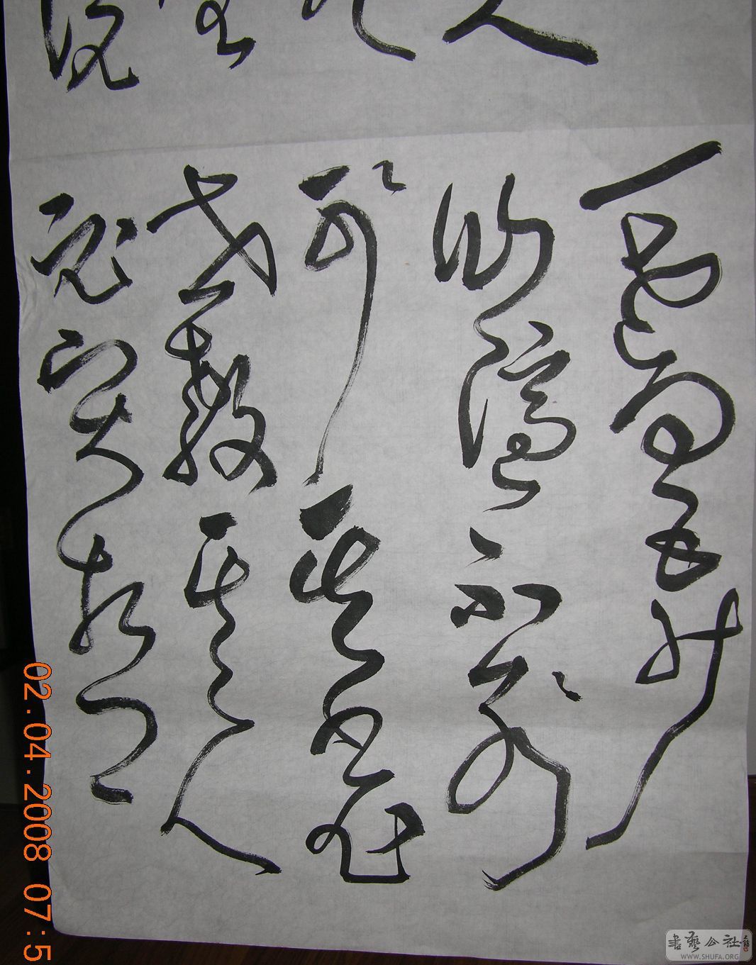 ת DSCN1652.JPG