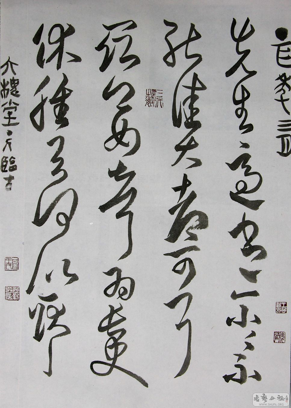 DSCN0406.jpg