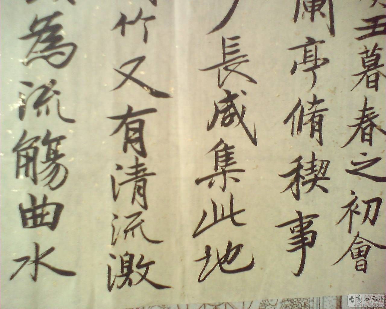 M20080503017.jpg