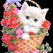 s_73B7967A2BF6FC11B7CC6DA6FC667DD12.jpg
