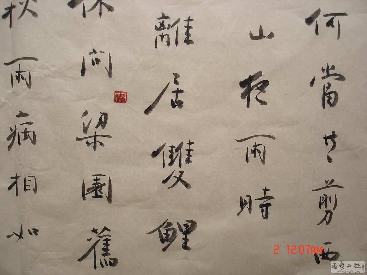 DSC00544-0.JPG