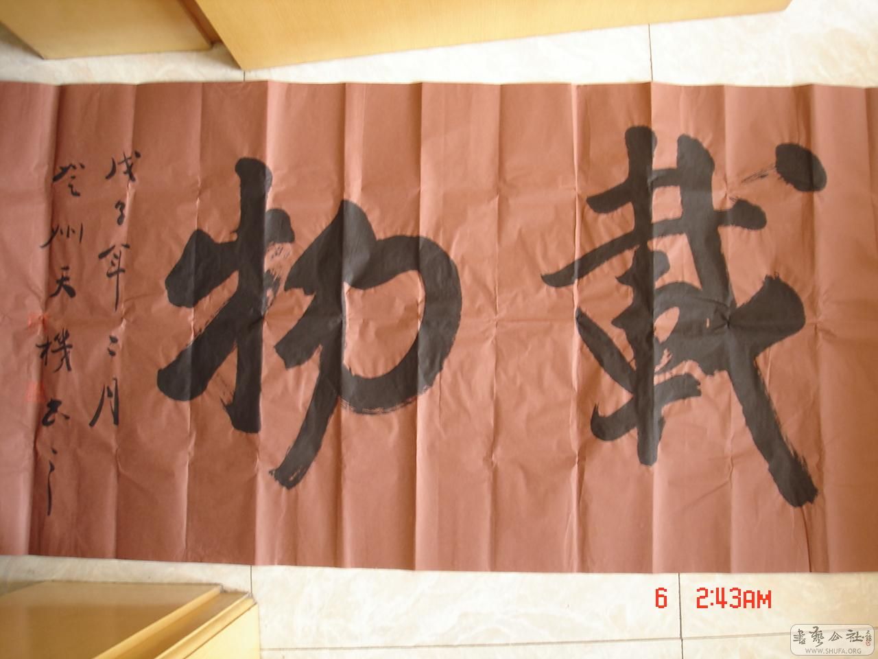 DSC00560-0.JPG