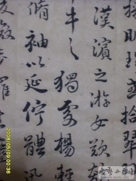 S6001775.JPG