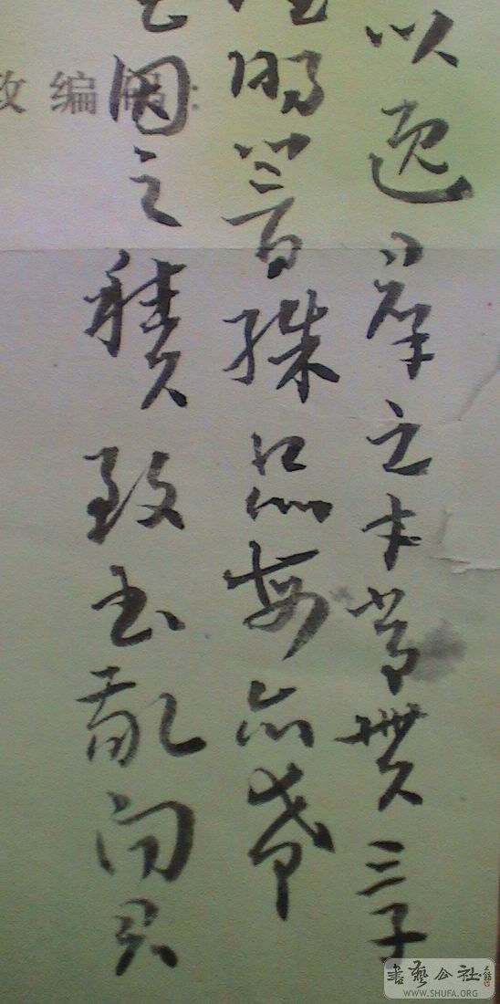 DSC06733.JPG