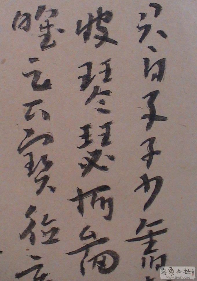 DSC06704.JPG