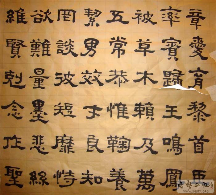 P1010226 copy.jpg