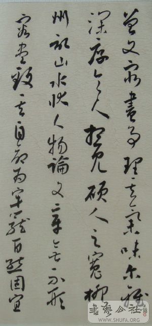 DSC02416.jpg