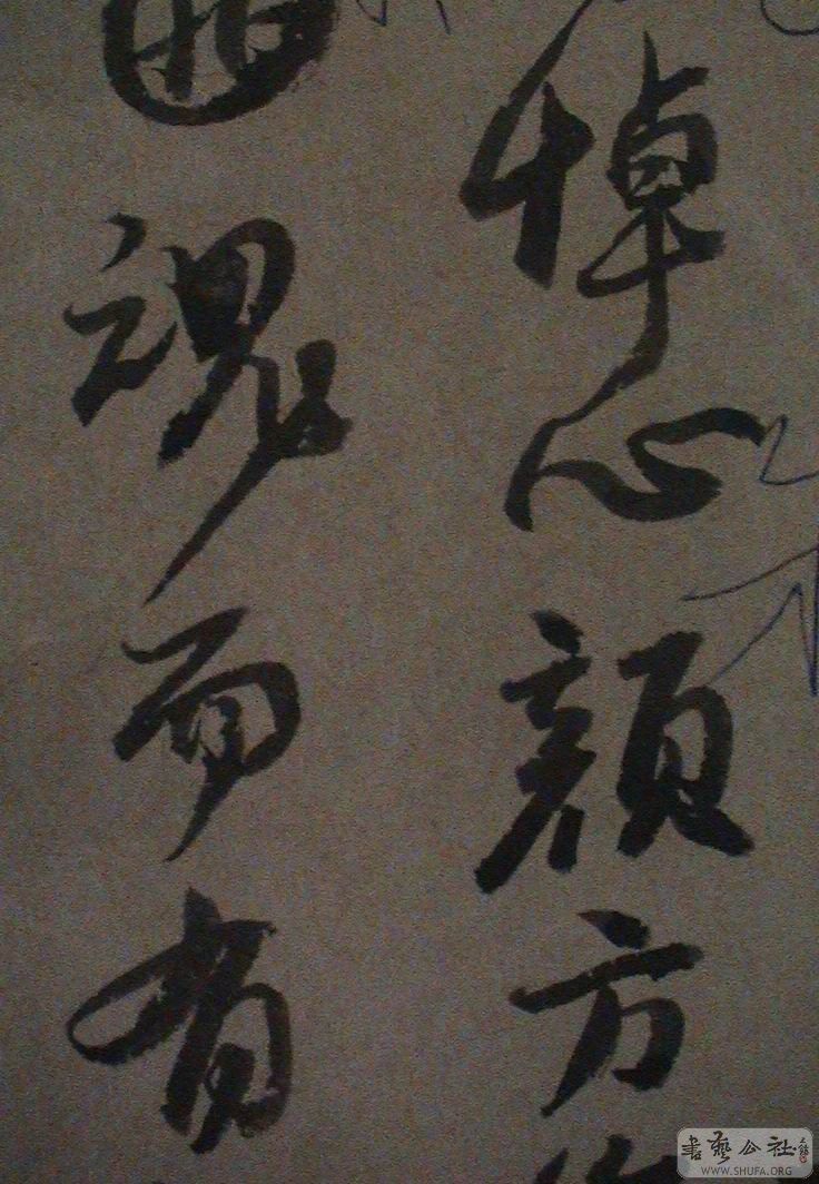 DSC06765.JPG
