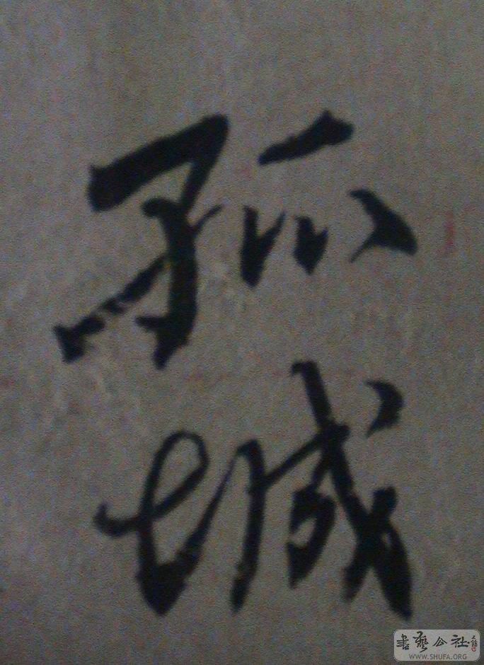 DSC06763.JPG