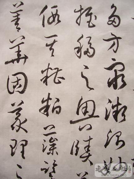 100_1593.JPG