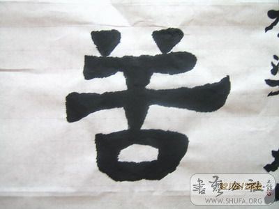 ͼƬ 016.jpg