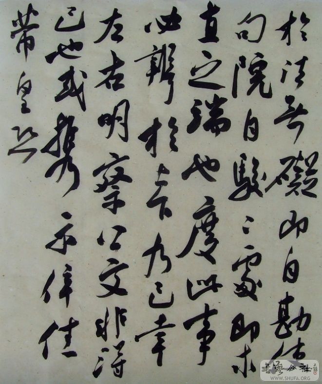 SNV35364.JPG