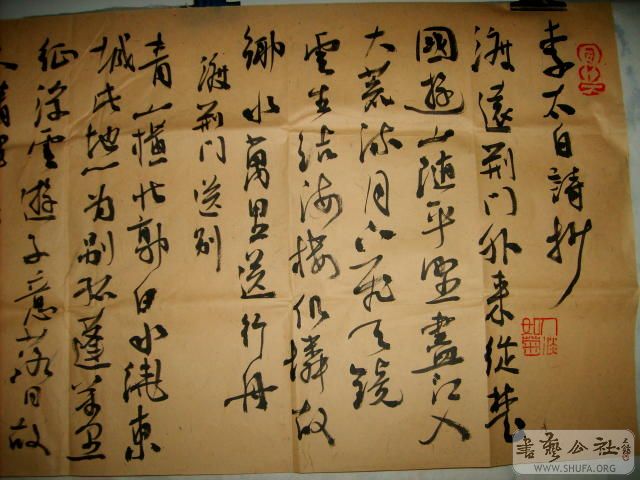 鷨002.JPG