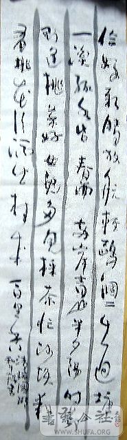 鷨5