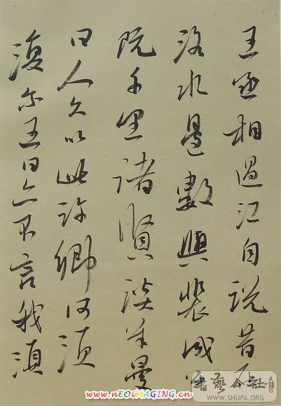 DSCF0232.JPG