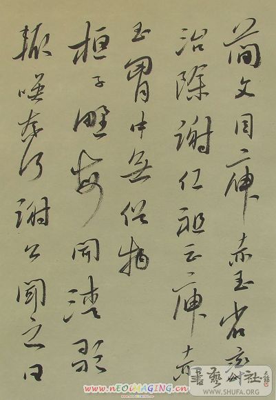 DSCF0247.JPG