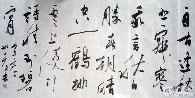IMGP4704.jpg