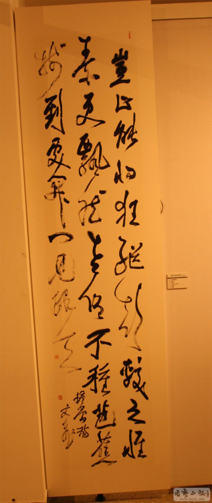 Untitled-11.jpg