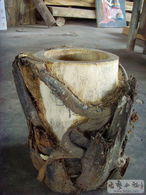SNV32623.JPG