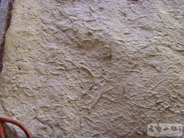 SNV30056.JPG