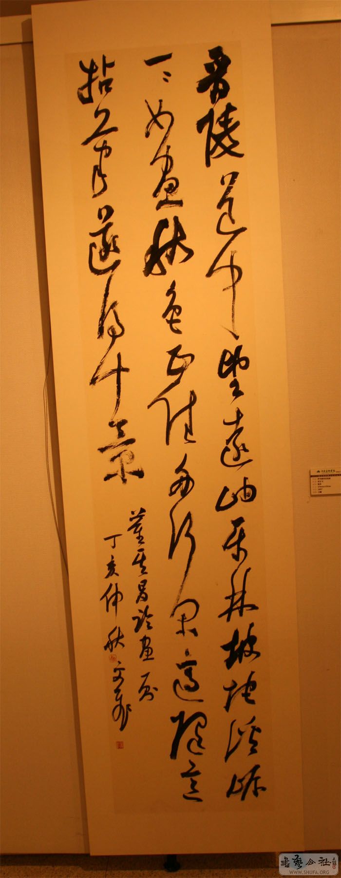 Untitled-12.jpg