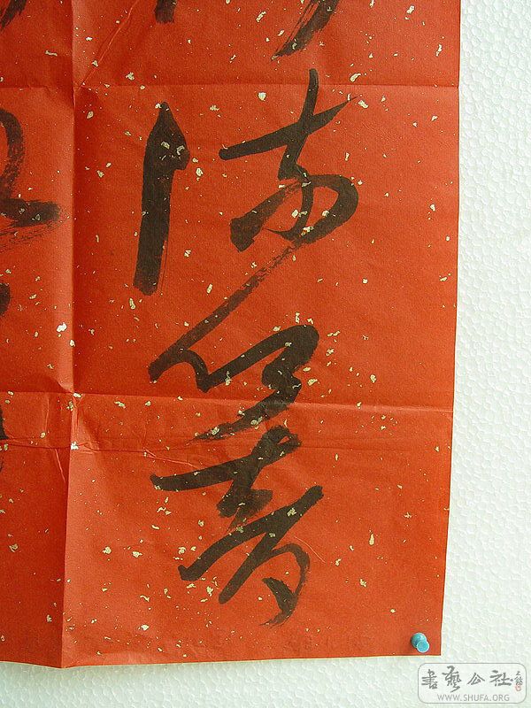 DSC06381.jpg