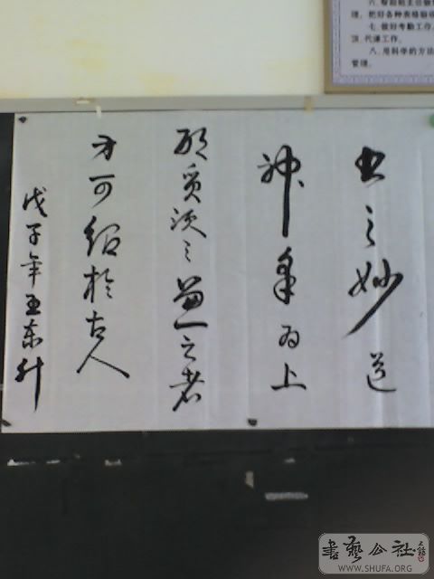 27-05-08_1140.jpg