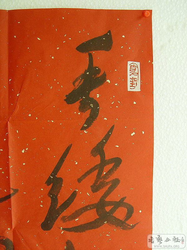 DSC06378.jpg