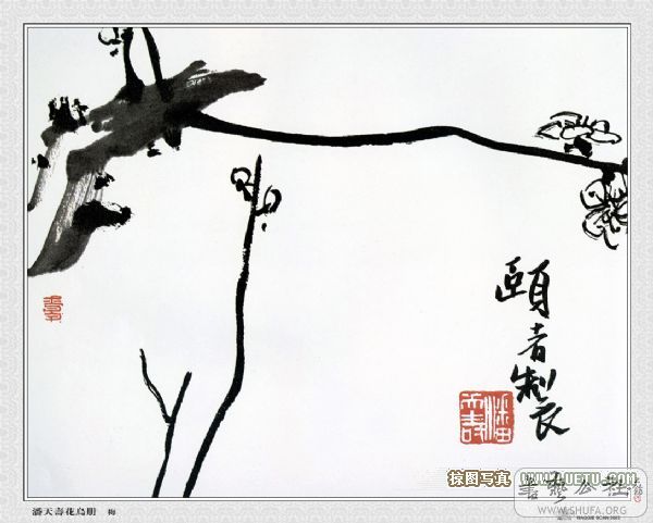 80908_a.jpg