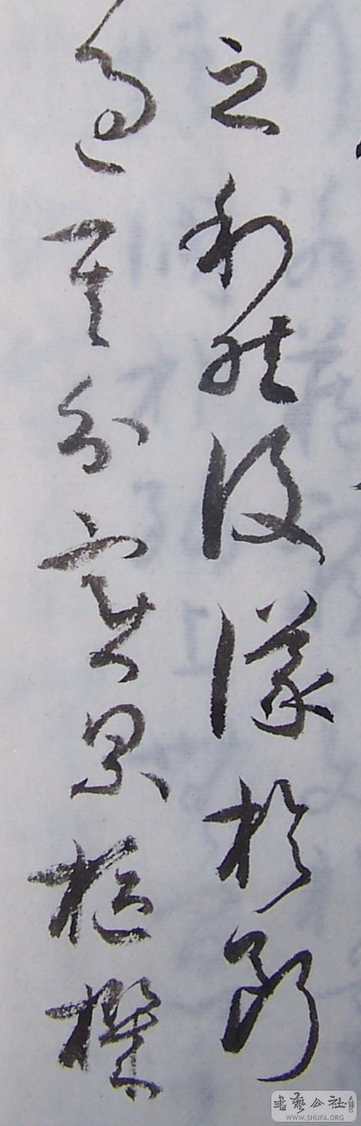 100_0107.jpg