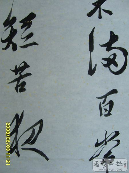 S6007640.jpg
