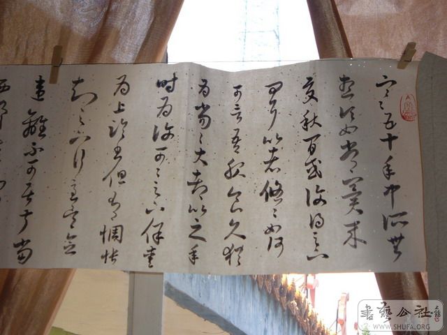 DSCF6783.JPG