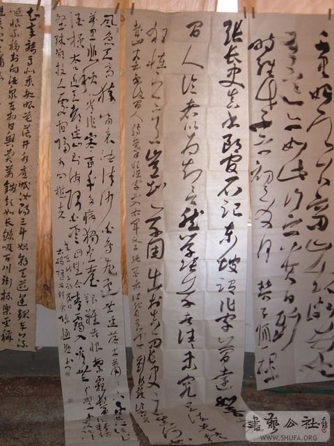 DSCF6776.jpg