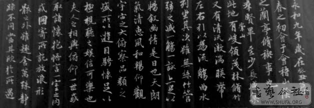 DSC03316.JPG